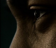 COURT-METRAGE « A LA RUE »